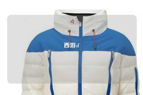 西游sf